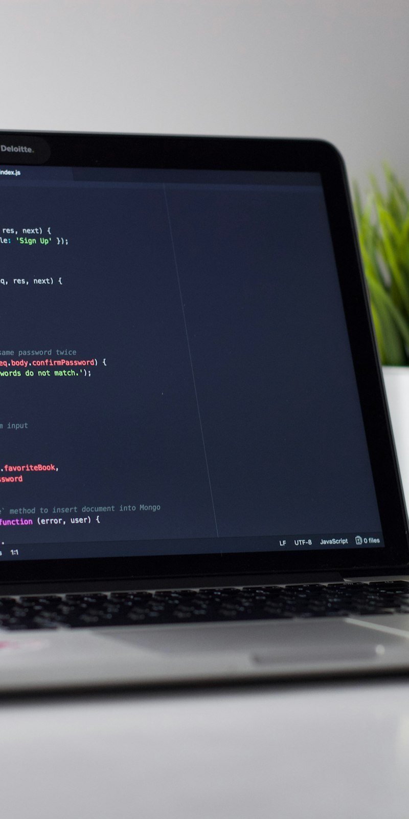 Desarrollo web